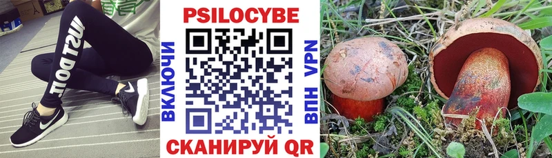 Купить закладки  Райчихинск  Псилоцибиновые грибы прущие грибы 
